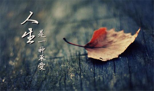 参与以太坊网络的投资者心理:如何有效管理情绪_参与以太坊网络的投资者心理:如何有效管理情绪_参与以太坊网络的投资者心理:如何有效管理情绪